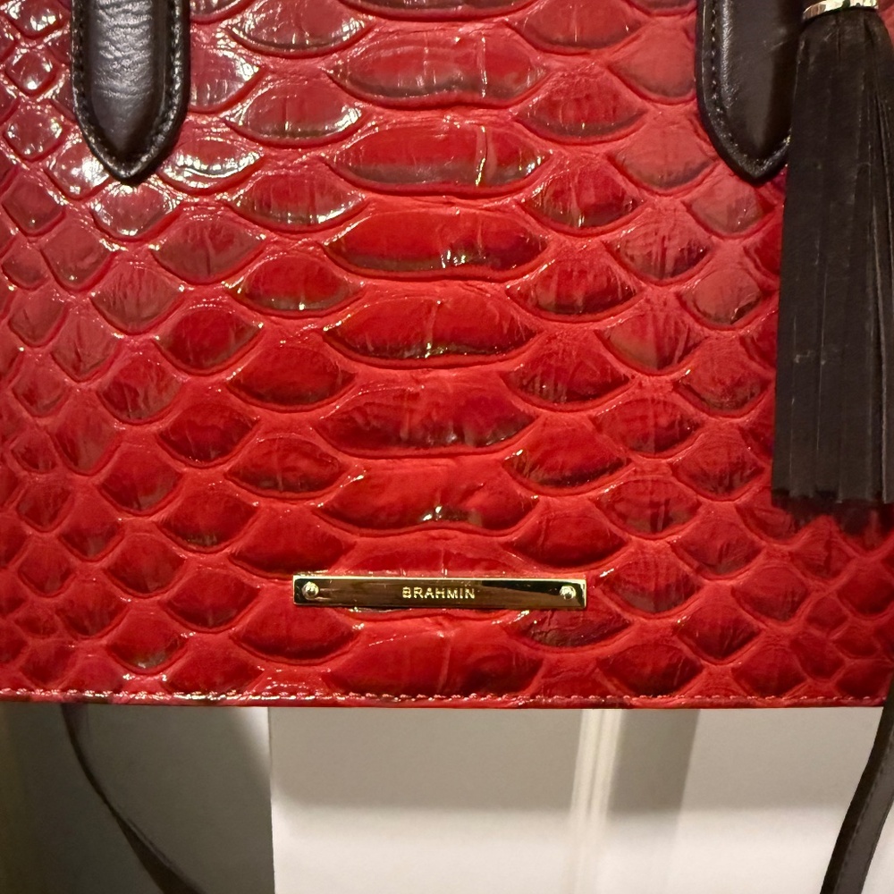 Brahmin Handbag